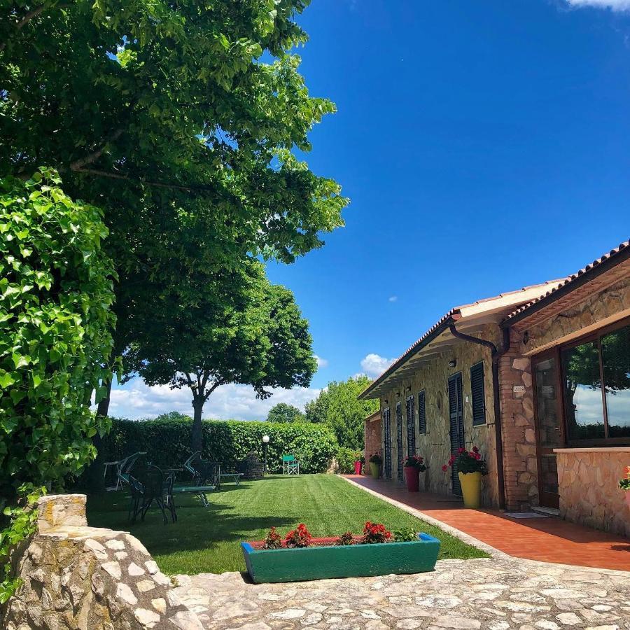 מונטמראנו Agriturismo Poggio Del Drago מראה חיצוני תמונה