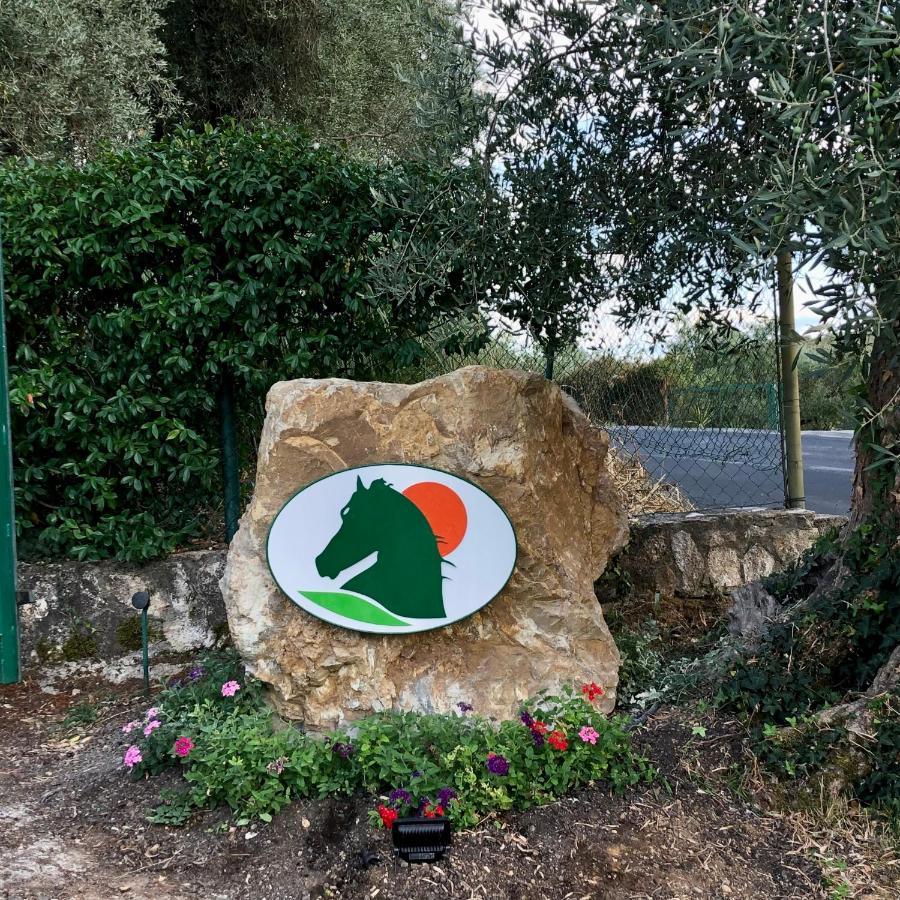 מונטמראנו Agriturismo Poggio Del Drago מראה חיצוני תמונה