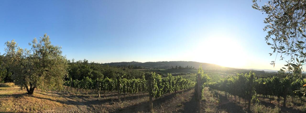 מונטמראנו Agriturismo Poggio Del Drago מראה חיצוני תמונה