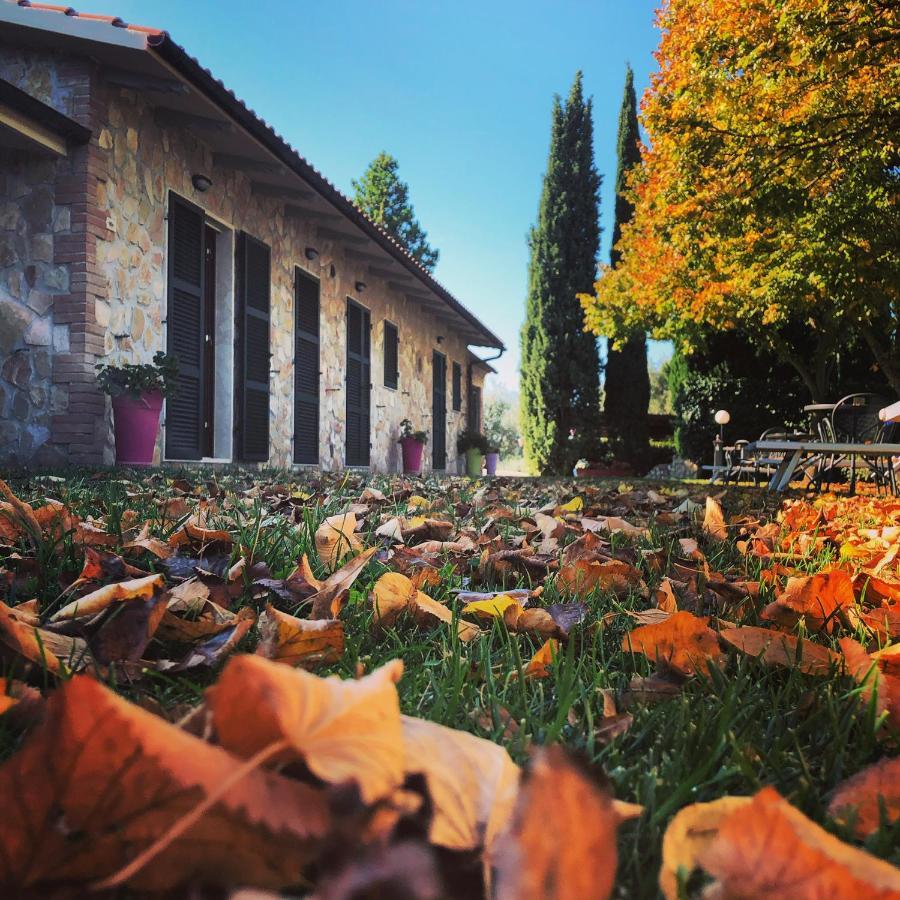 מונטמראנו Agriturismo Poggio Del Drago מראה חיצוני תמונה