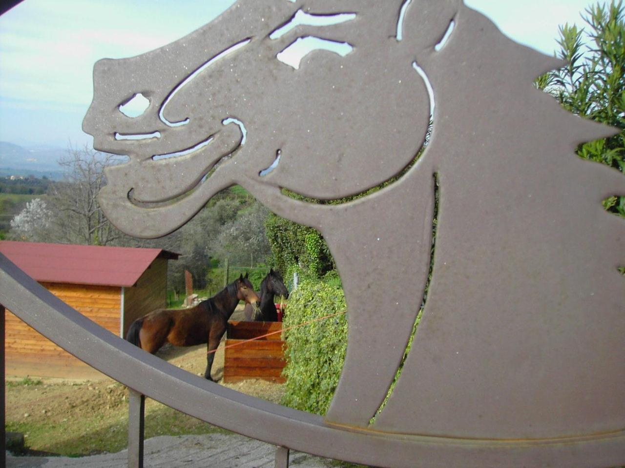 מונטמראנו Agriturismo Poggio Del Drago מראה חיצוני תמונה