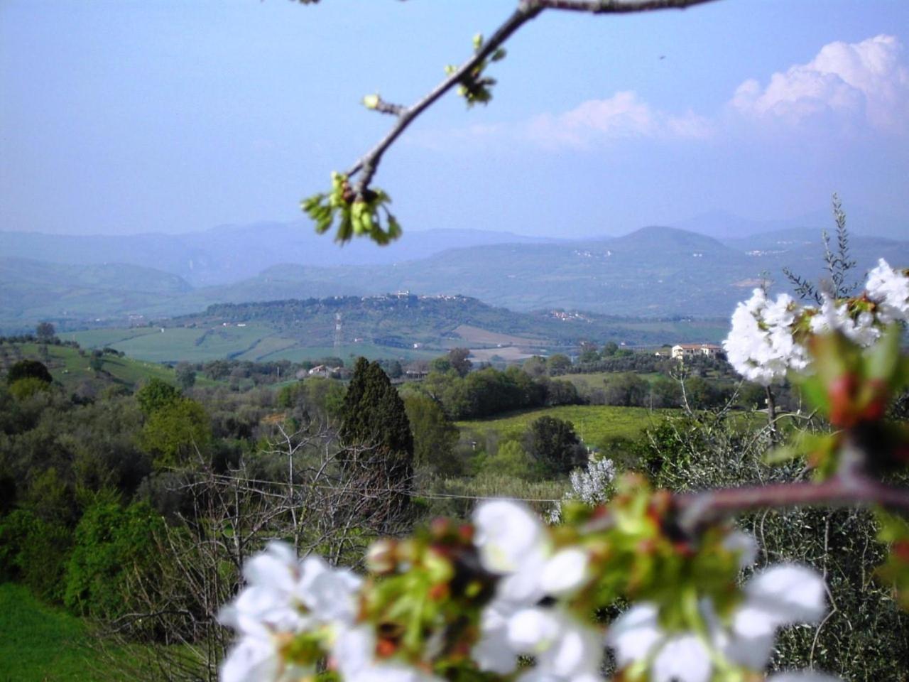 מונטמראנו Agriturismo Poggio Del Drago מראה חיצוני תמונה