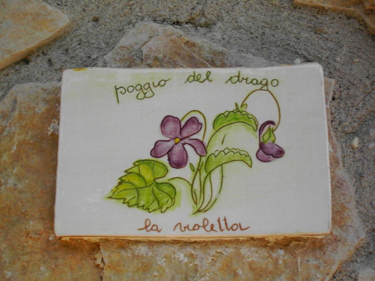 מונטמראנו Agriturismo Poggio Del Drago חדר תמונה